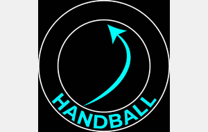 LA FLÈCHE HANDBALL